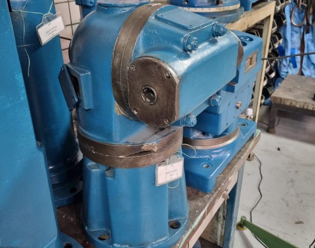 WhatsApp Image 2025-06-24 at 11.29.11